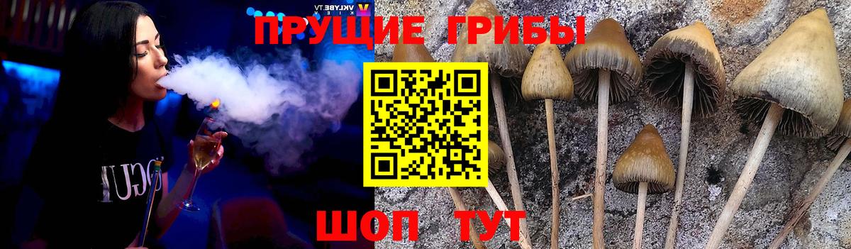 Галлюциногенные грибы прущие грибы  Вход с VPN  Губкинский 