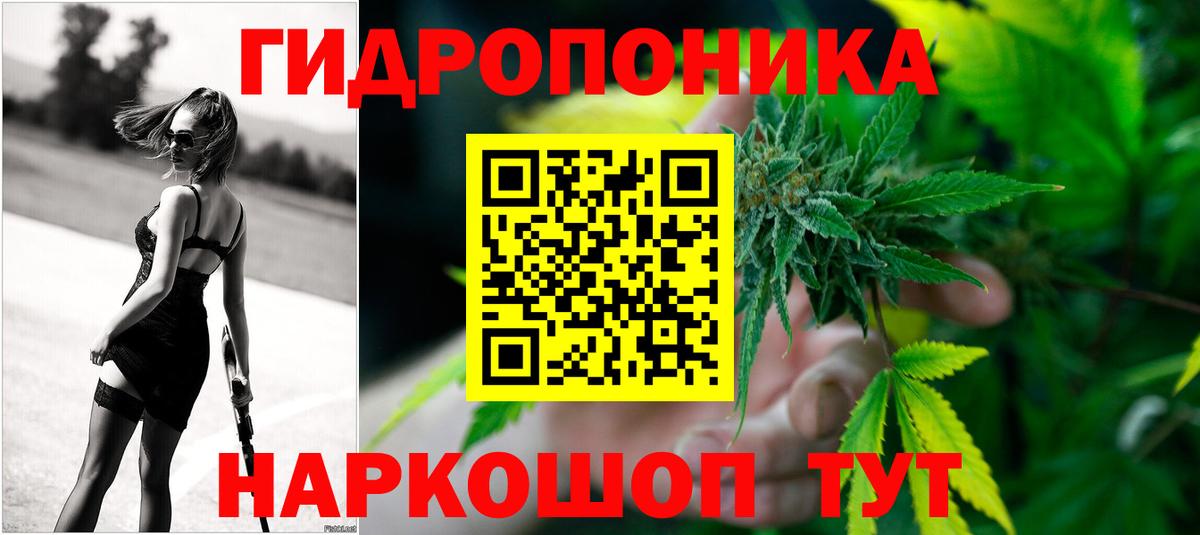 Канабис семена  Вход с VPN  Губкинский  Каннабис индика  Бошки Шишки VHQ 